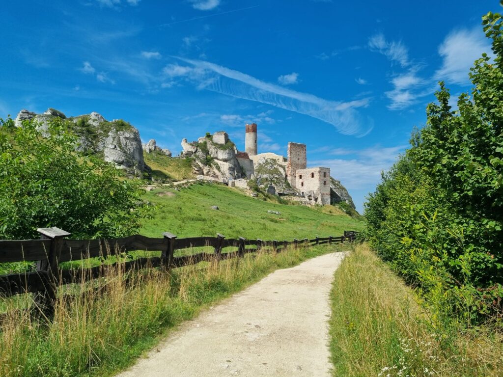 Rowerowy Szlak Orlich Gniazd