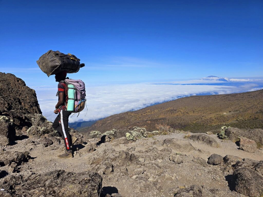 Kilimandżaro tragarz